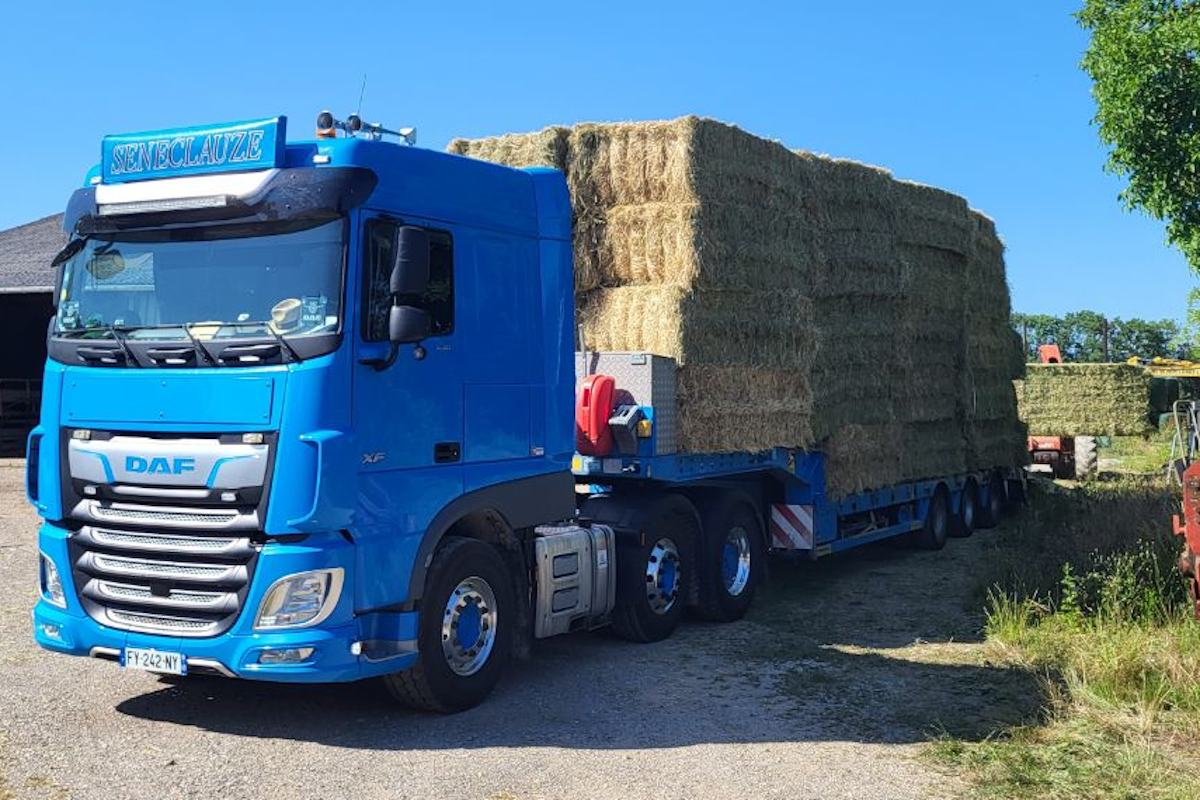 1200×800 Tranport 03